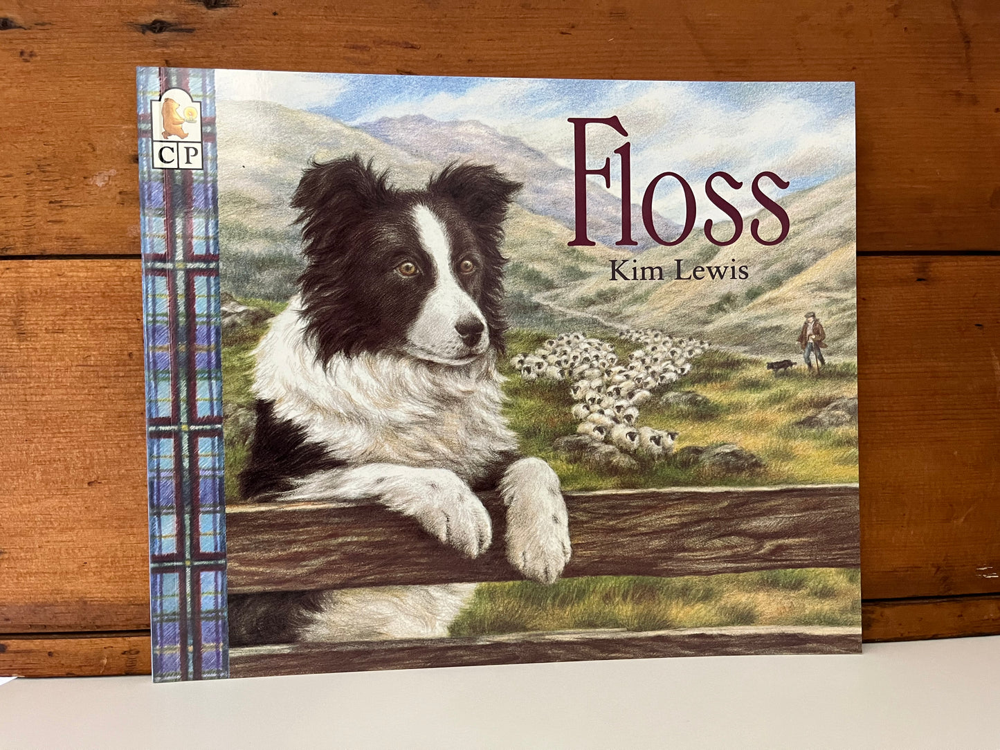 Children's Picture Book - FLOSS, the Border Collie