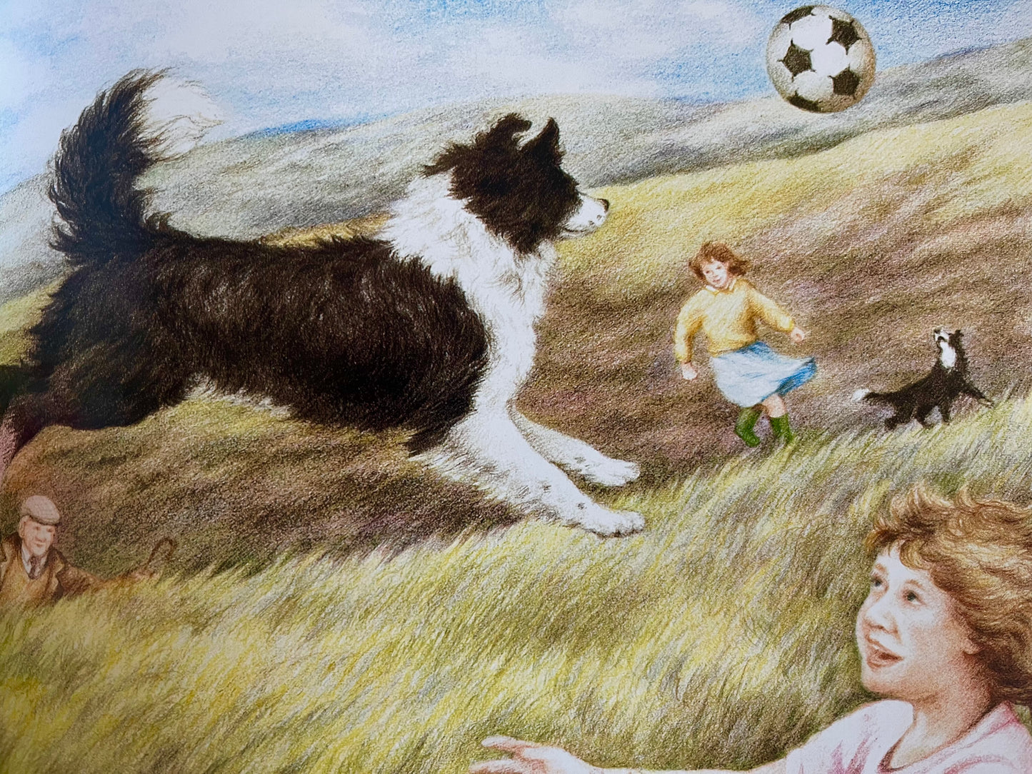 Children's Picture Book - FLOSS, the Border Collie