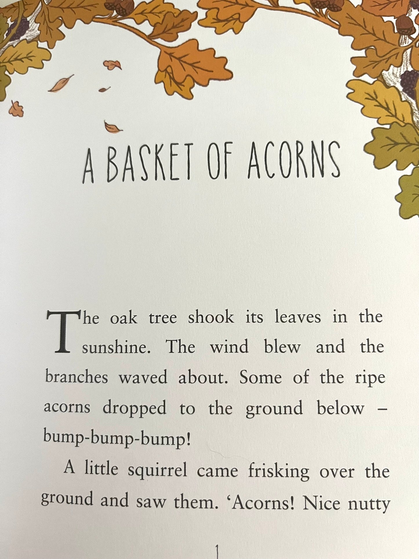 Children's Picture Book - Enid Blyton's STORIES OF WOODLAND ADVENTURES
