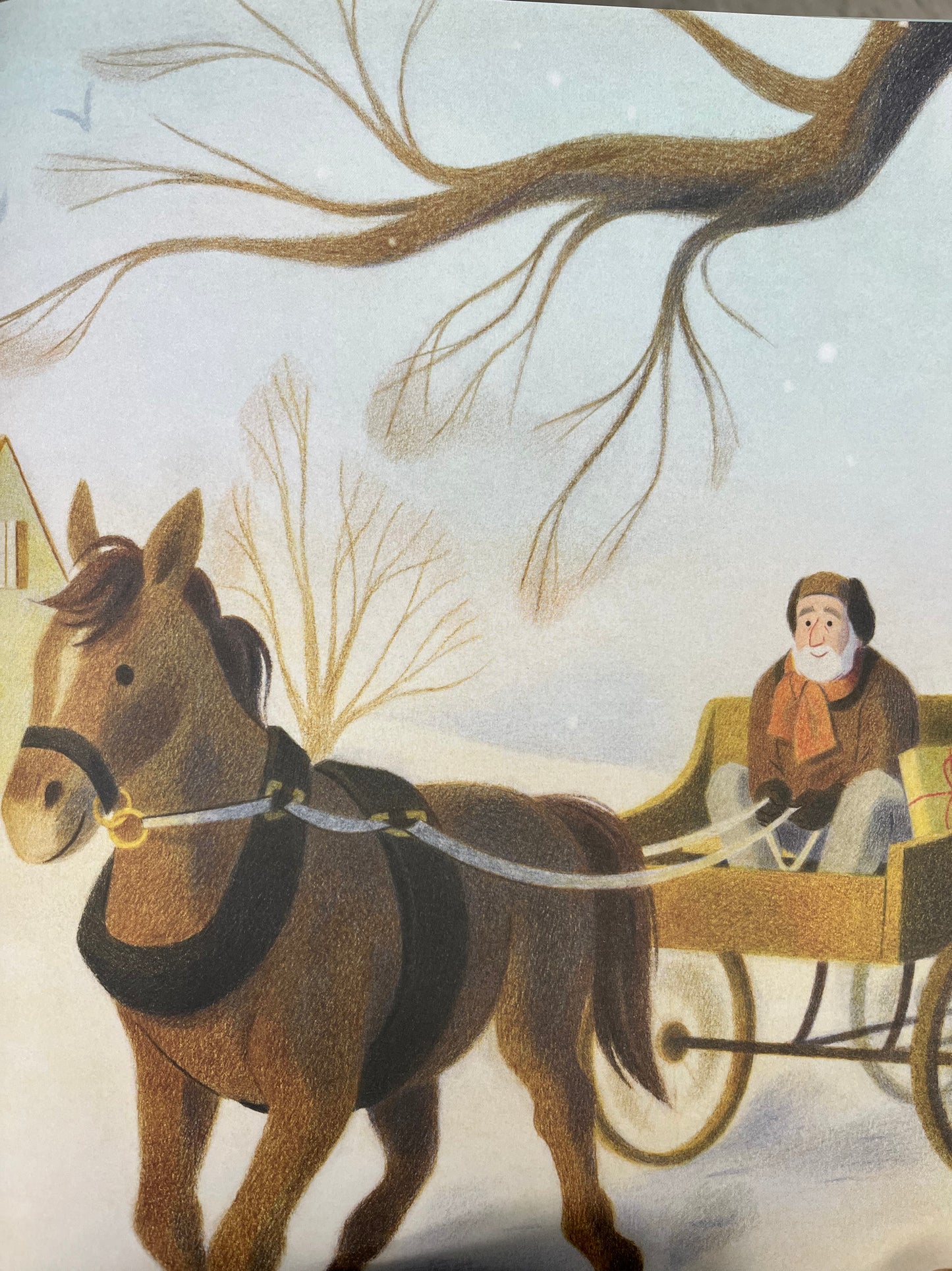 Children’s Picture Book - JOYEUX NOEL🎄ANNE!… a French translation