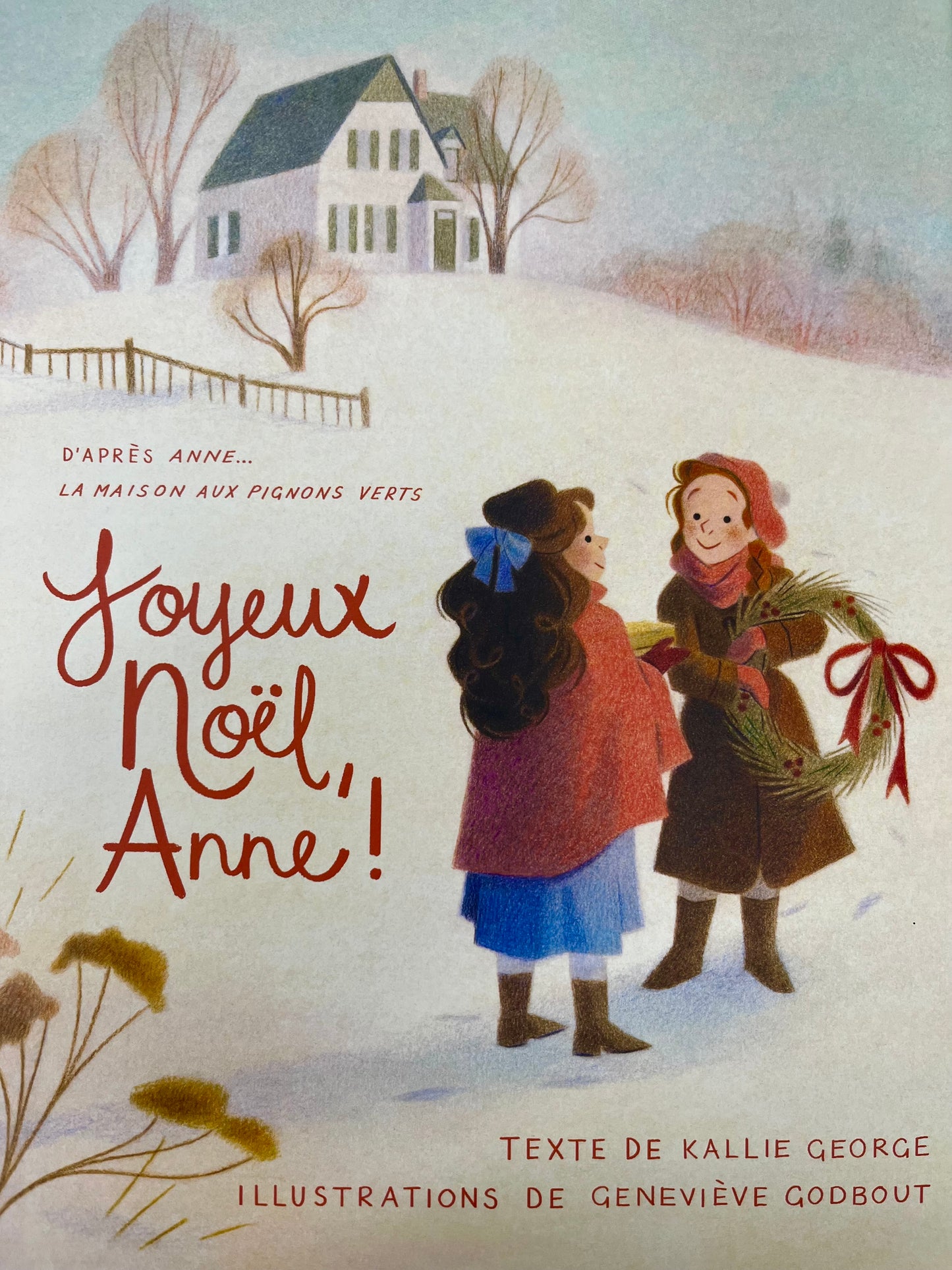 Children’s Picture Book - JOYEUX NOEL🎄ANNE!… a French translation