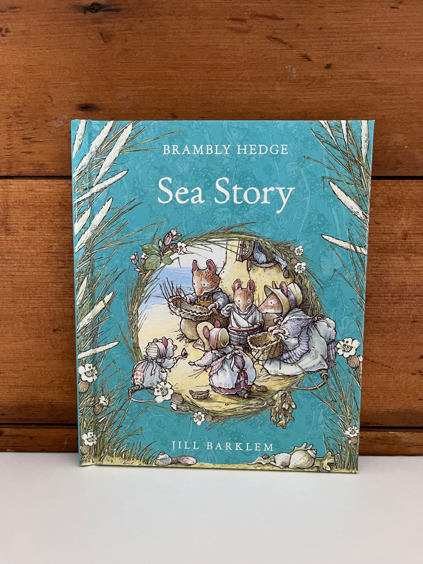 Children’s Picture Book - SEA STORY at BRAMBLY HEDGE