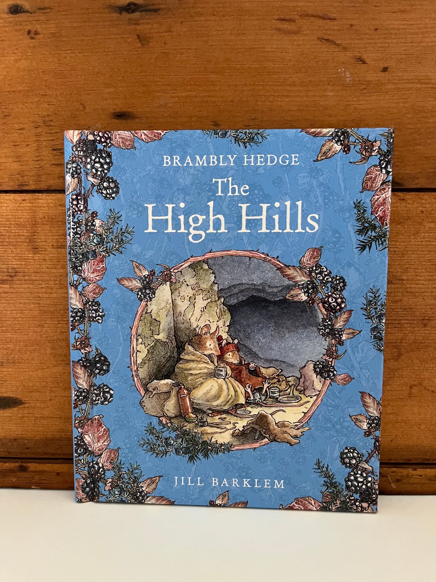 Children’s Picture Book - THE HIGH HILLS of BRAMBLY HEDGE