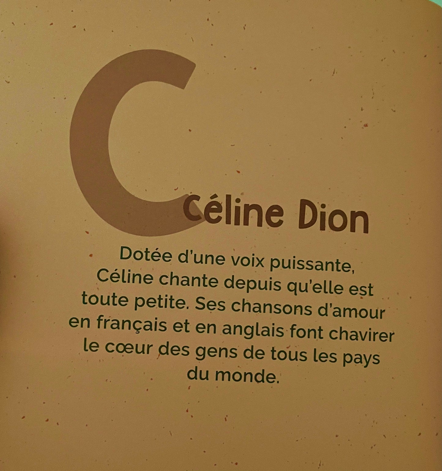 Children’s Picture Books - M POUR MAGNIFIQUES MUSICIENNES…. written in French!