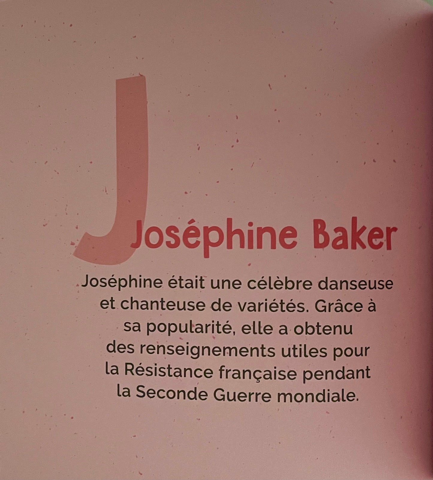 Children’s Picture Books - M POUR MAGNIFIQUES MUSICIENNES…. written in French!