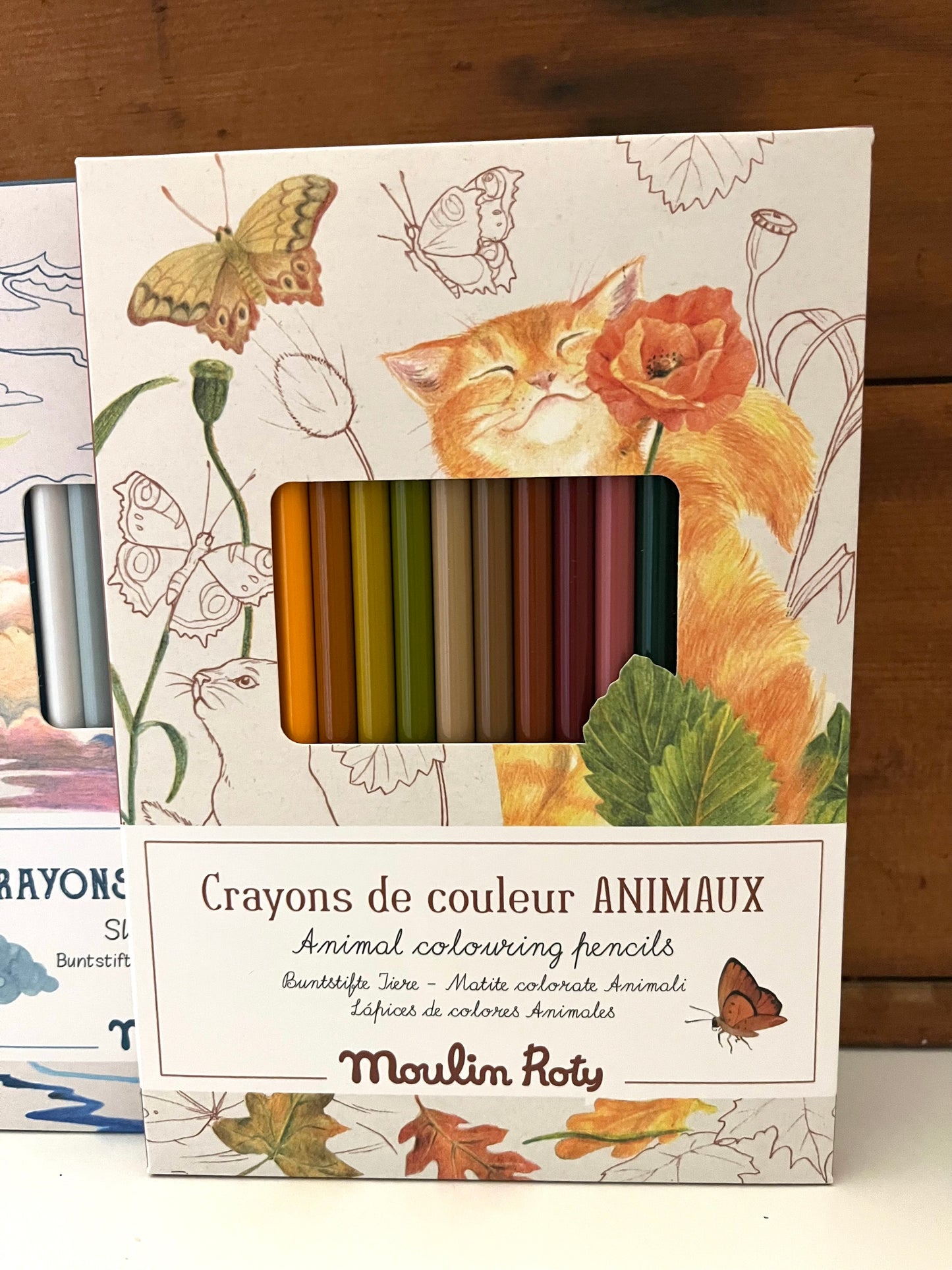 Colouring Pencils Art - 12 ANIMAL COLOURS, with 3 colouring cards