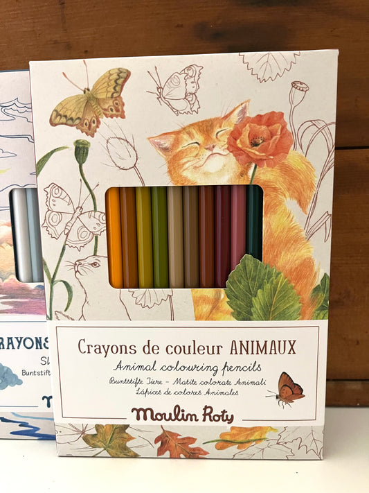 Colouring Pencils Art - 12 ANIMAL COLOURS, with 3 colouring cards