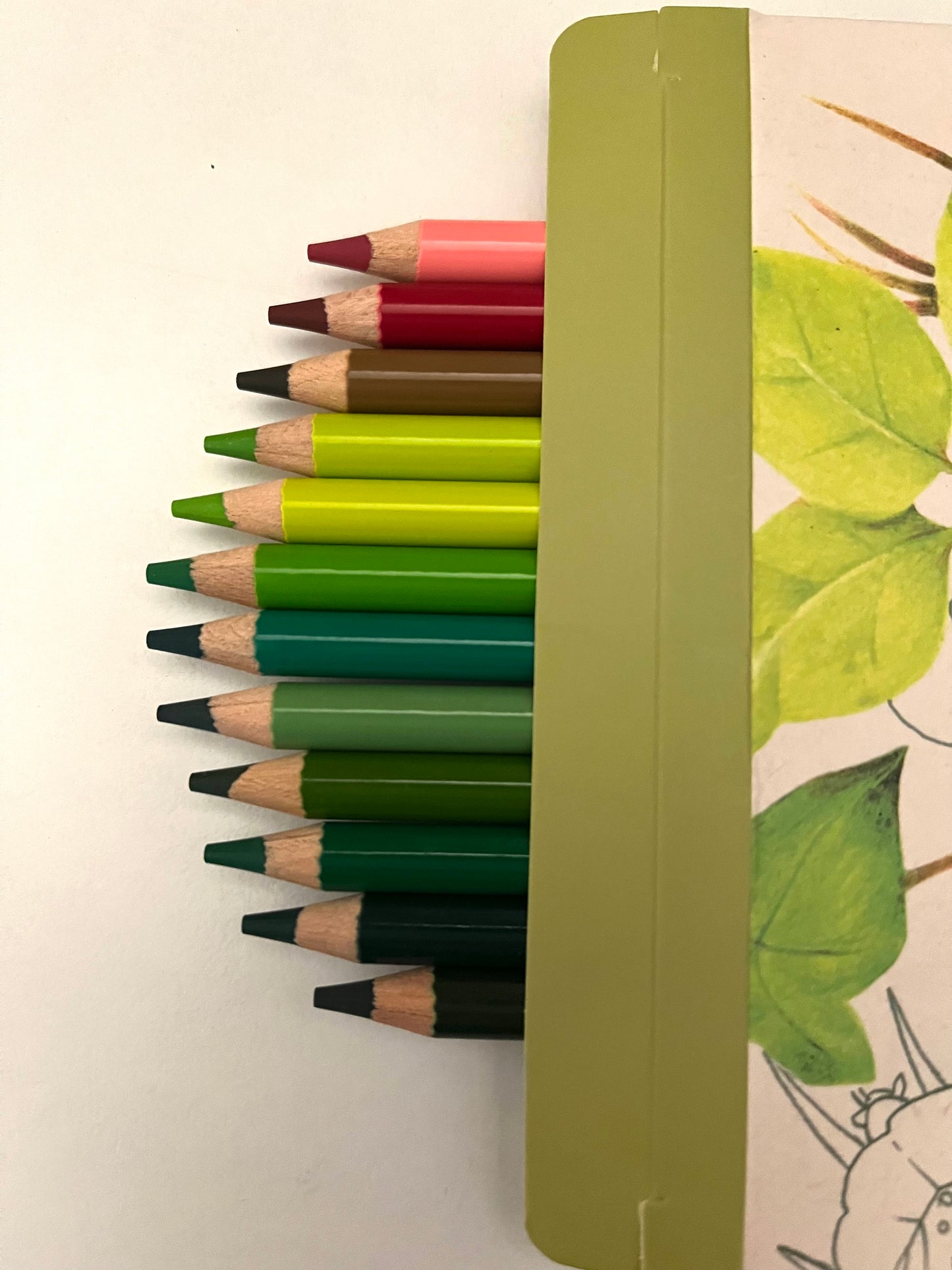 Colouring Pencils, Art - 12 NATURE COLOURS, with 3 colouring cards