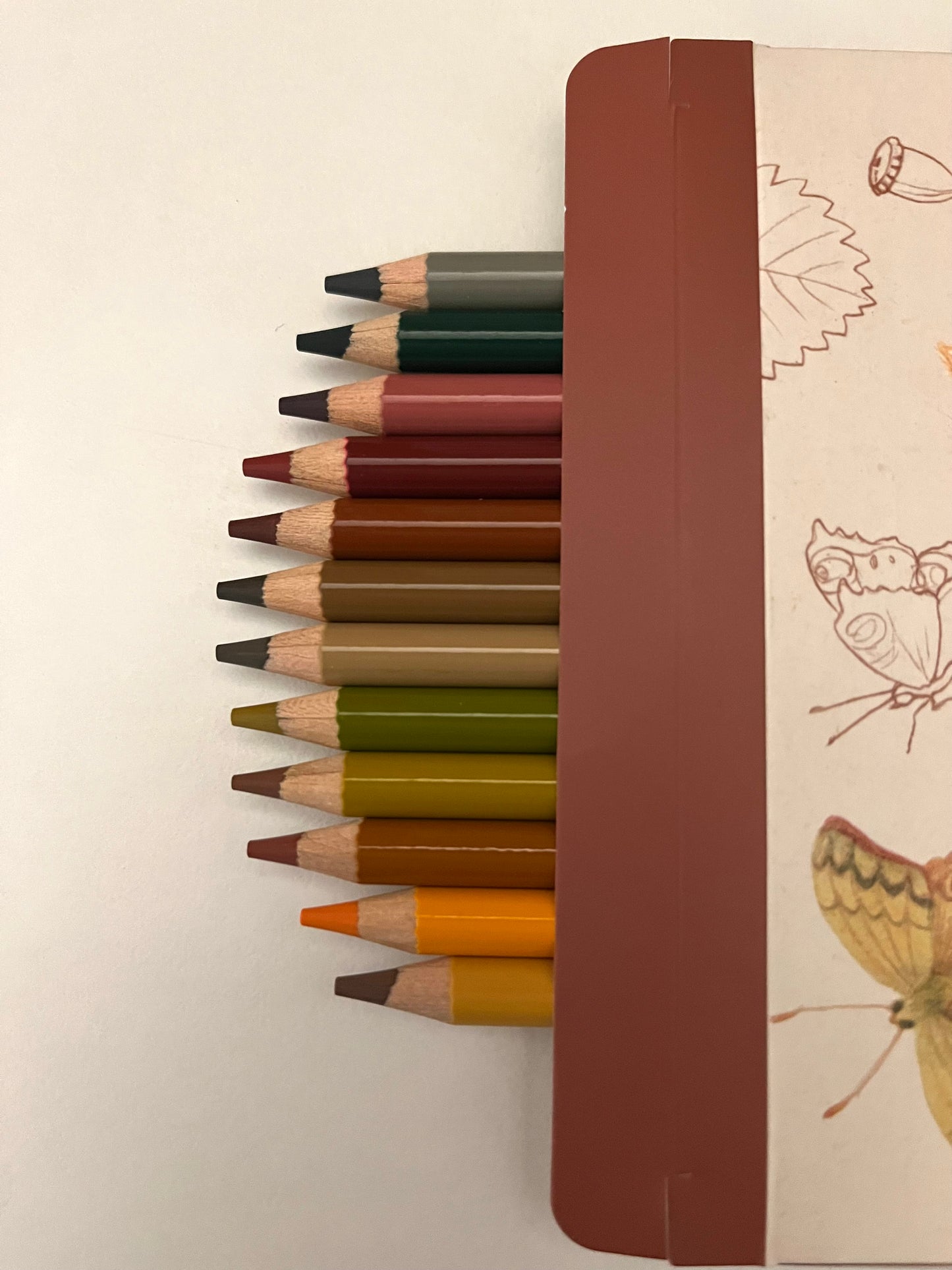 Colouring Pencils Art - 12 ANIMAL COLOURS, with 3 colouring cards