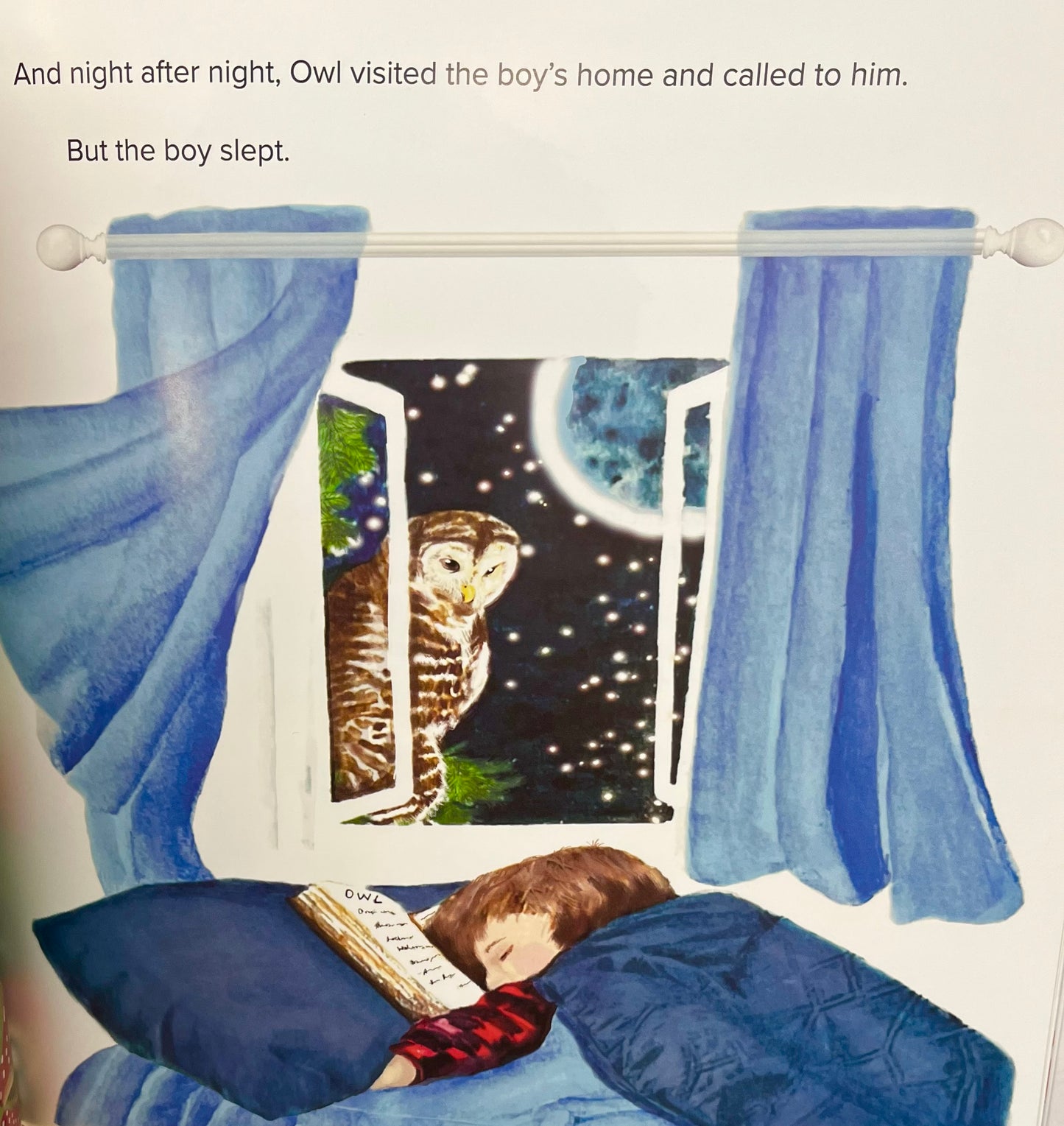 Children’s Picture Books - OWL