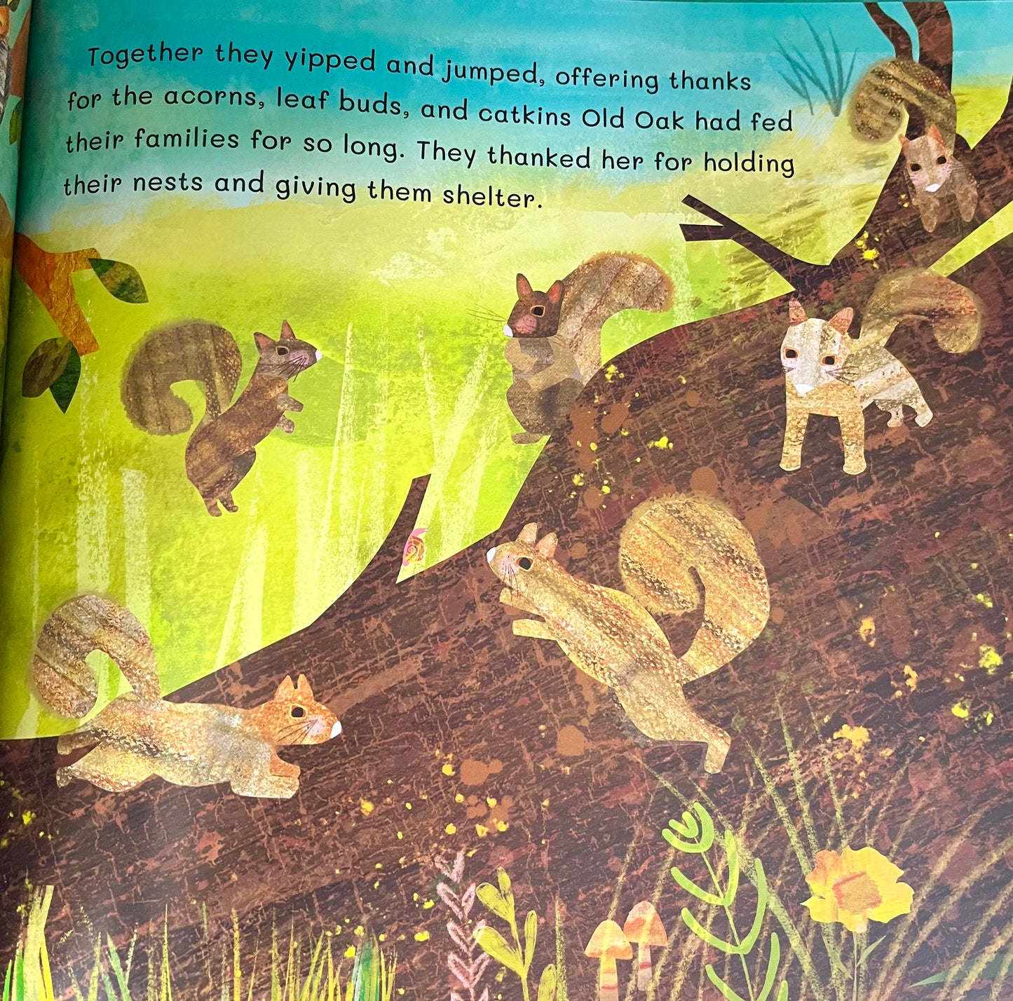 Educational Picture Book - THANK YOU, OLD OAK