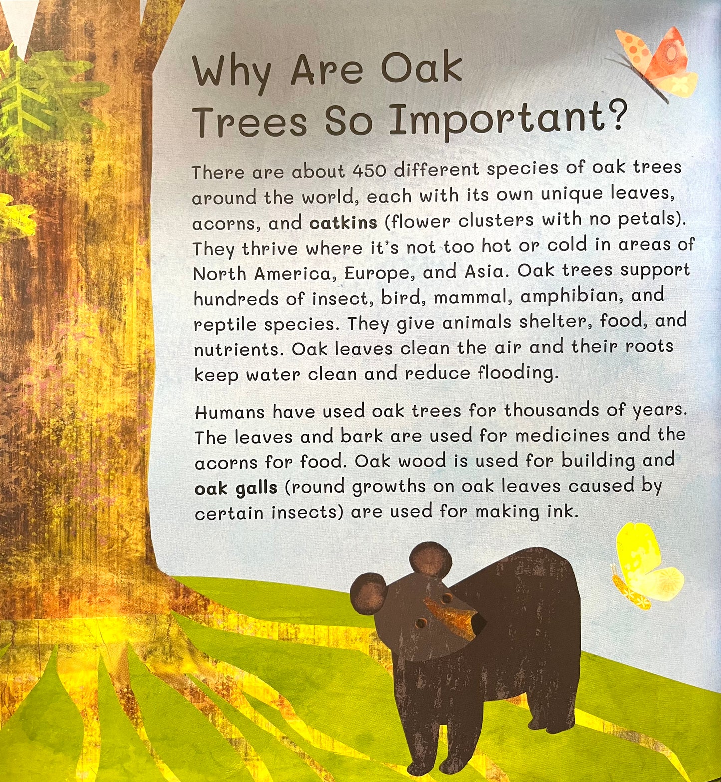 Educational Picture Book - THANK YOU, OLD OAK