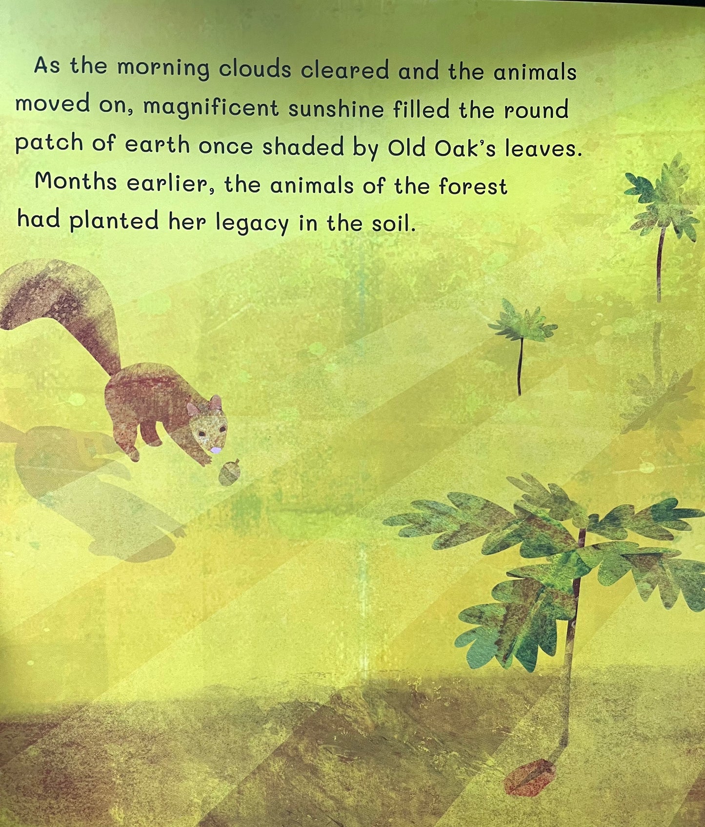 Educational Picture Book - THANK YOU, OLD OAK