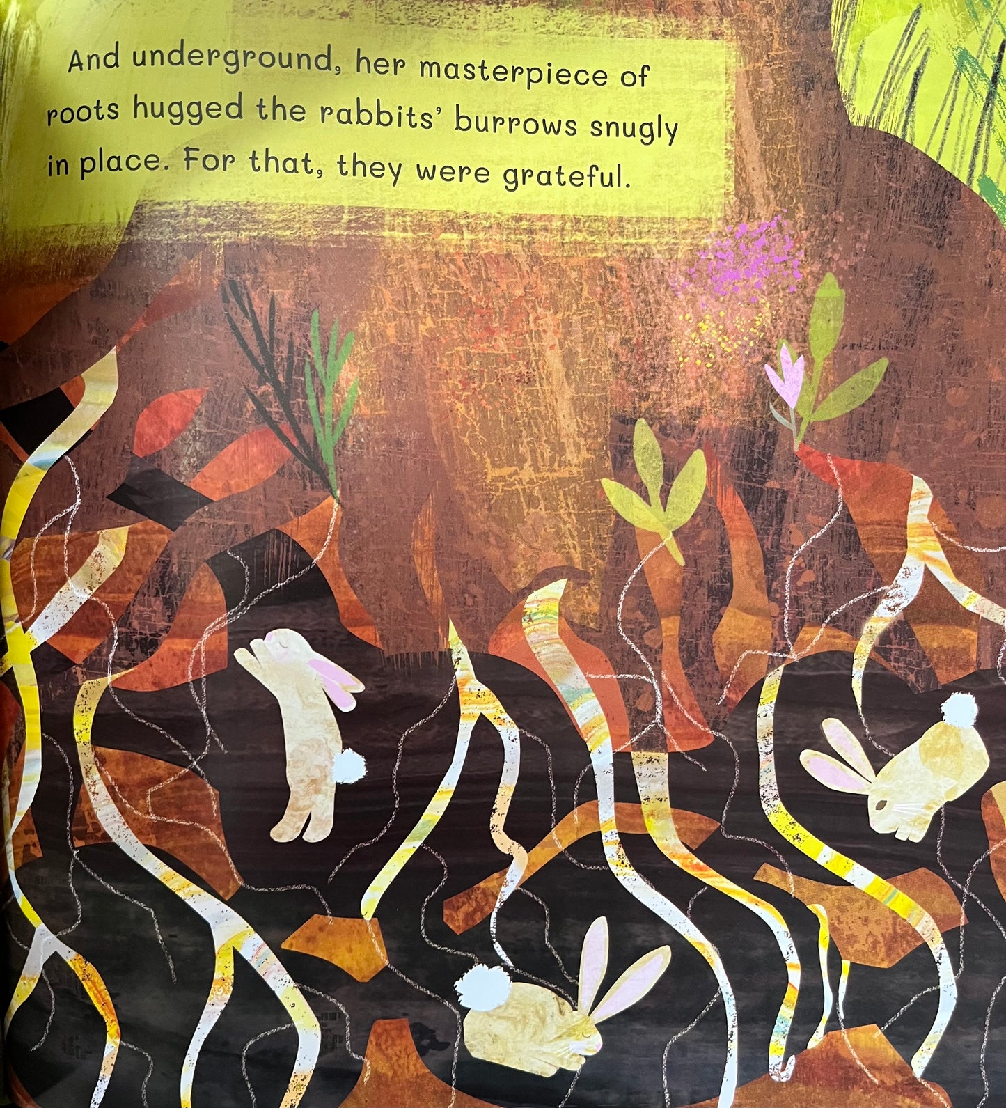 Educational Picture Book - THANK YOU, OLD OAK