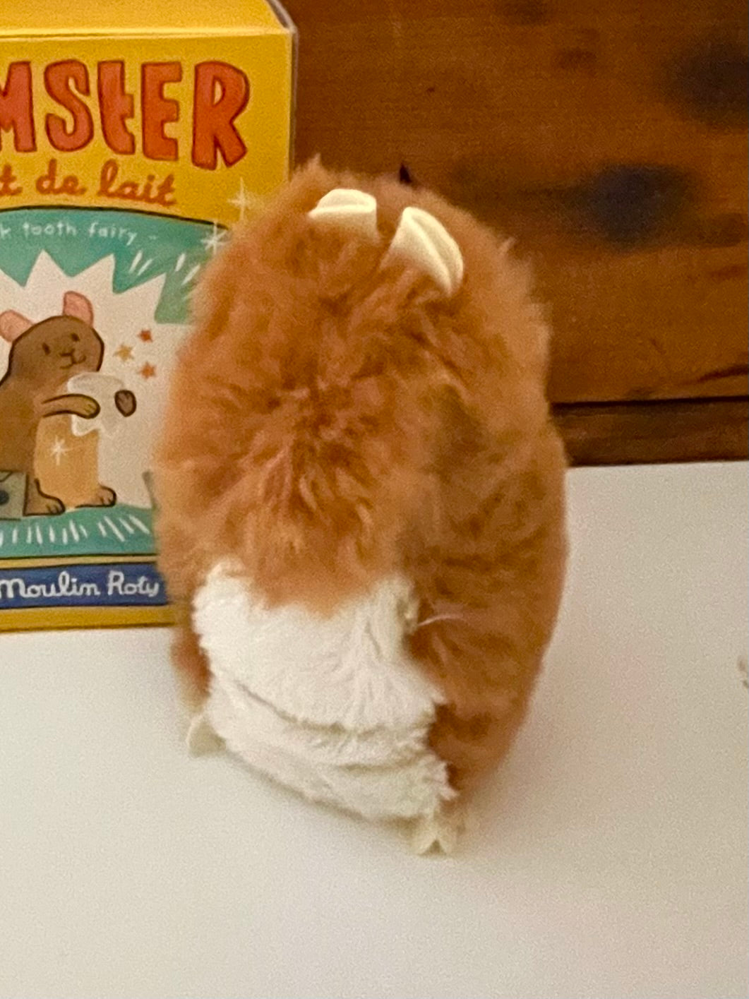 Baby Teeth Collector HAMSTER Tooth Fairy