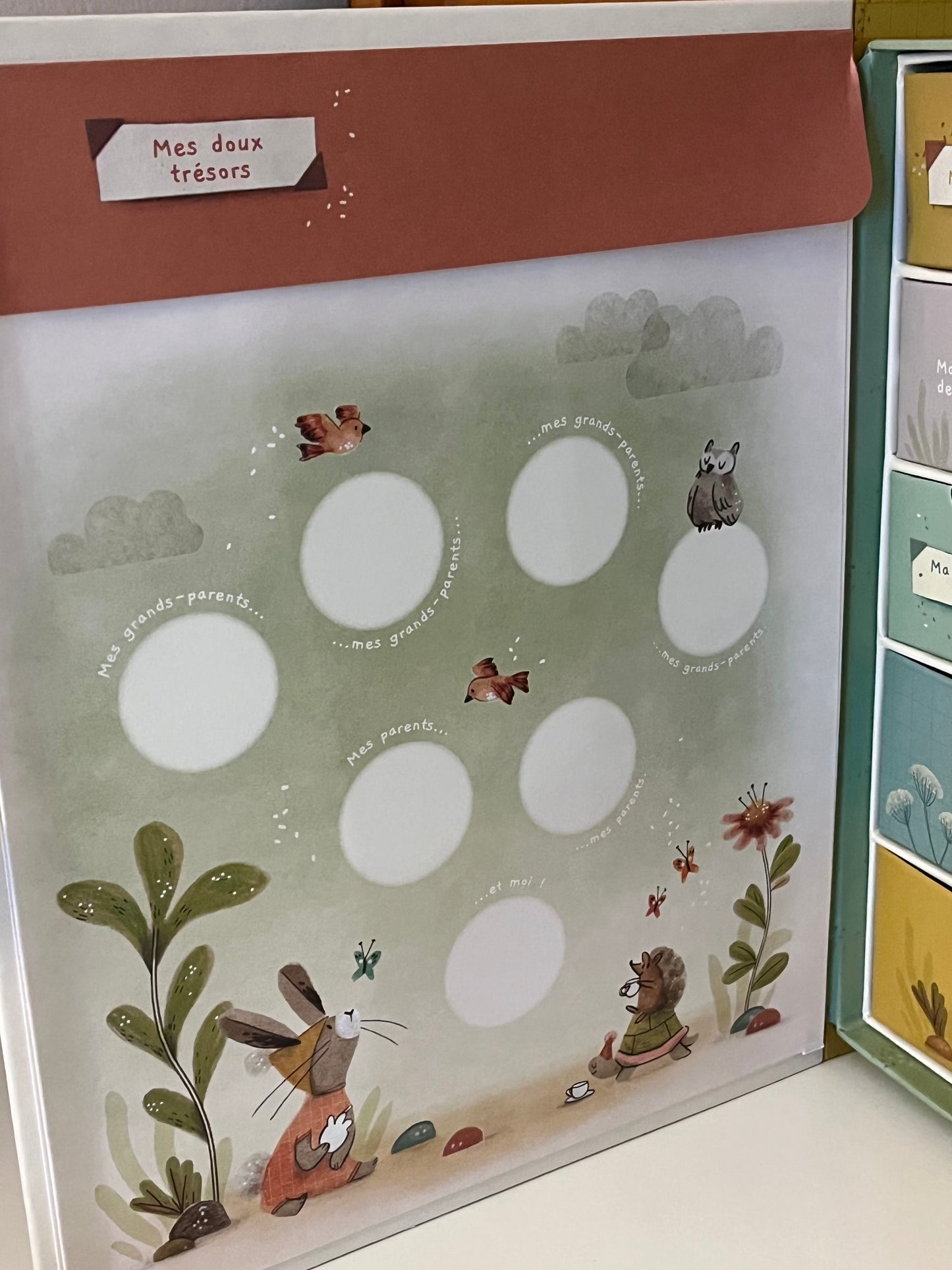 Newborn Baby Memory Box - COFFRET DE NAISSANCE, in French only!