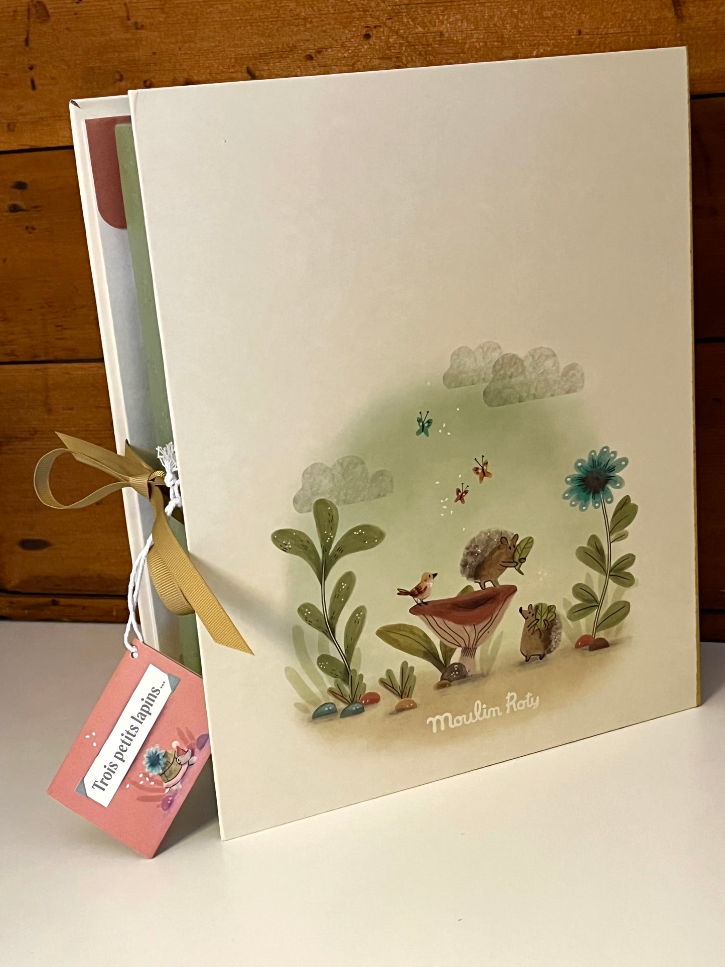 Newborn Baby Memory Box - COFFRET DE NAISSANCE, in French only!