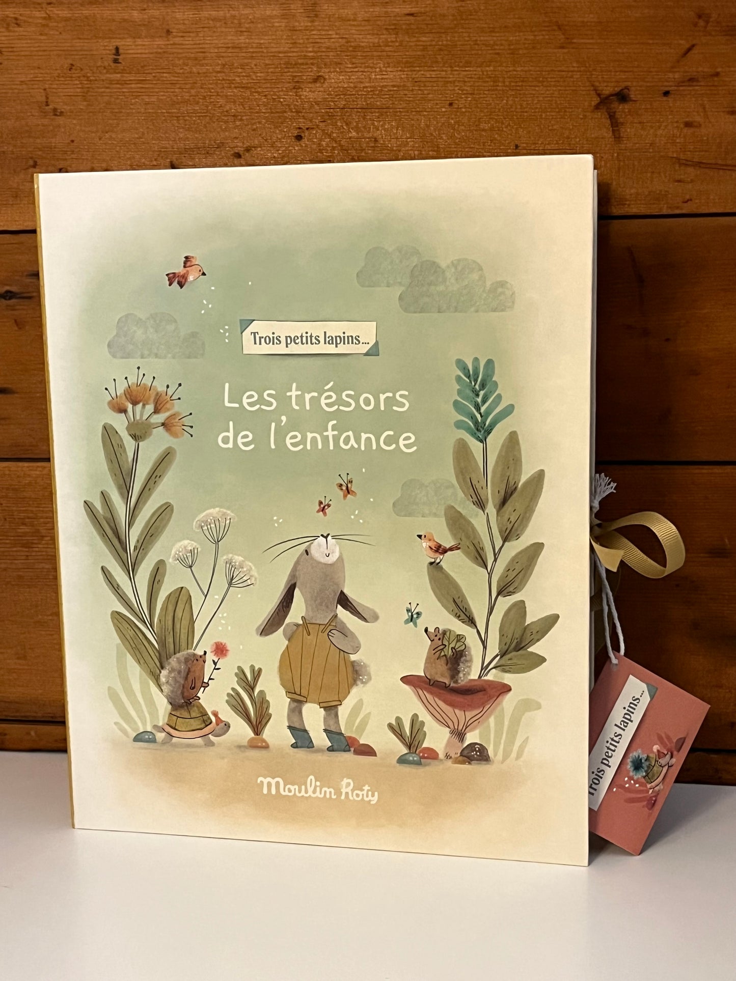 Newborn Baby Memory Box - COFFRET DE NAISSANCE, in French only!