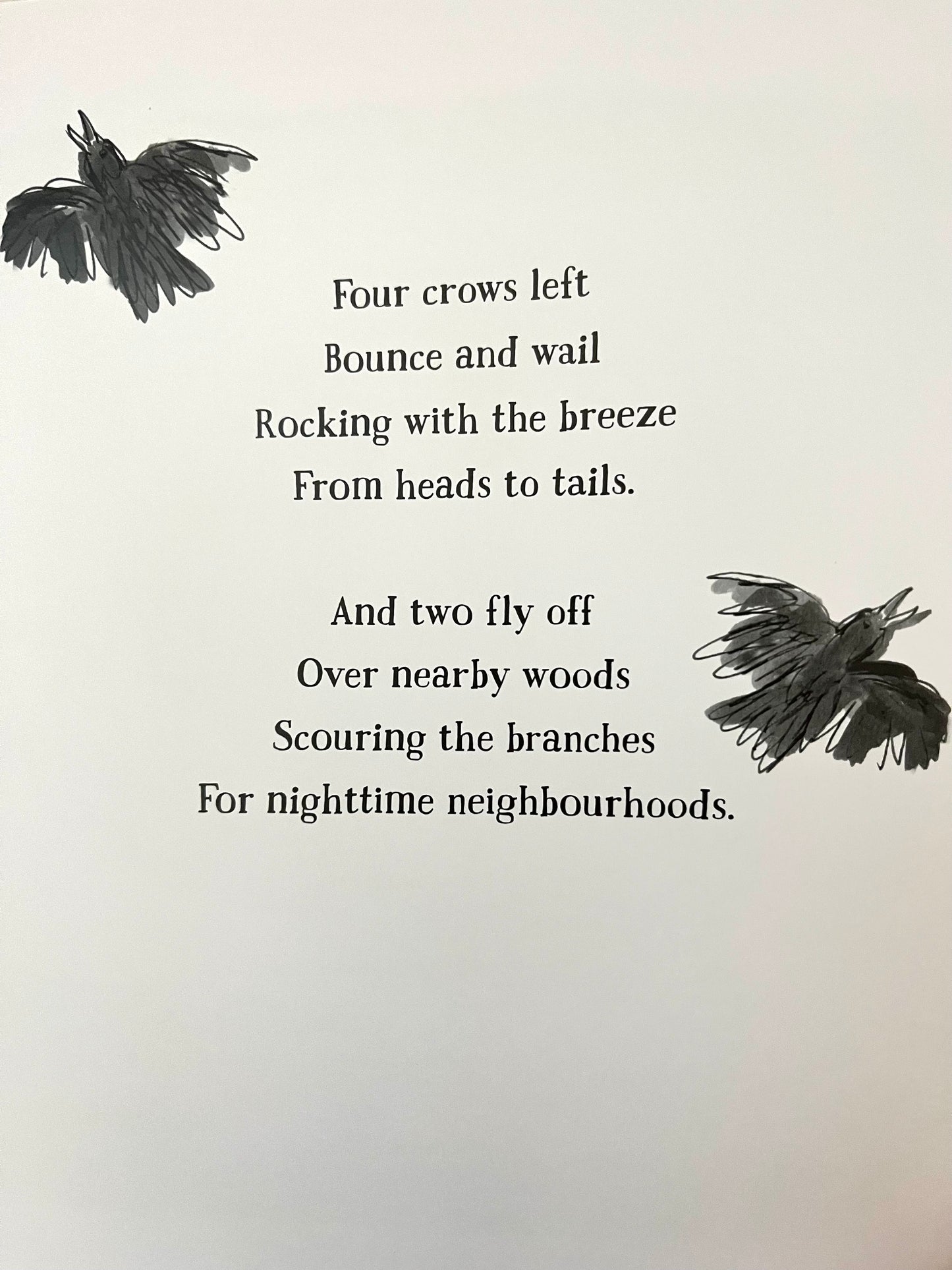 Children’s Picture Book - TWO CROWS, a lyrical counting story