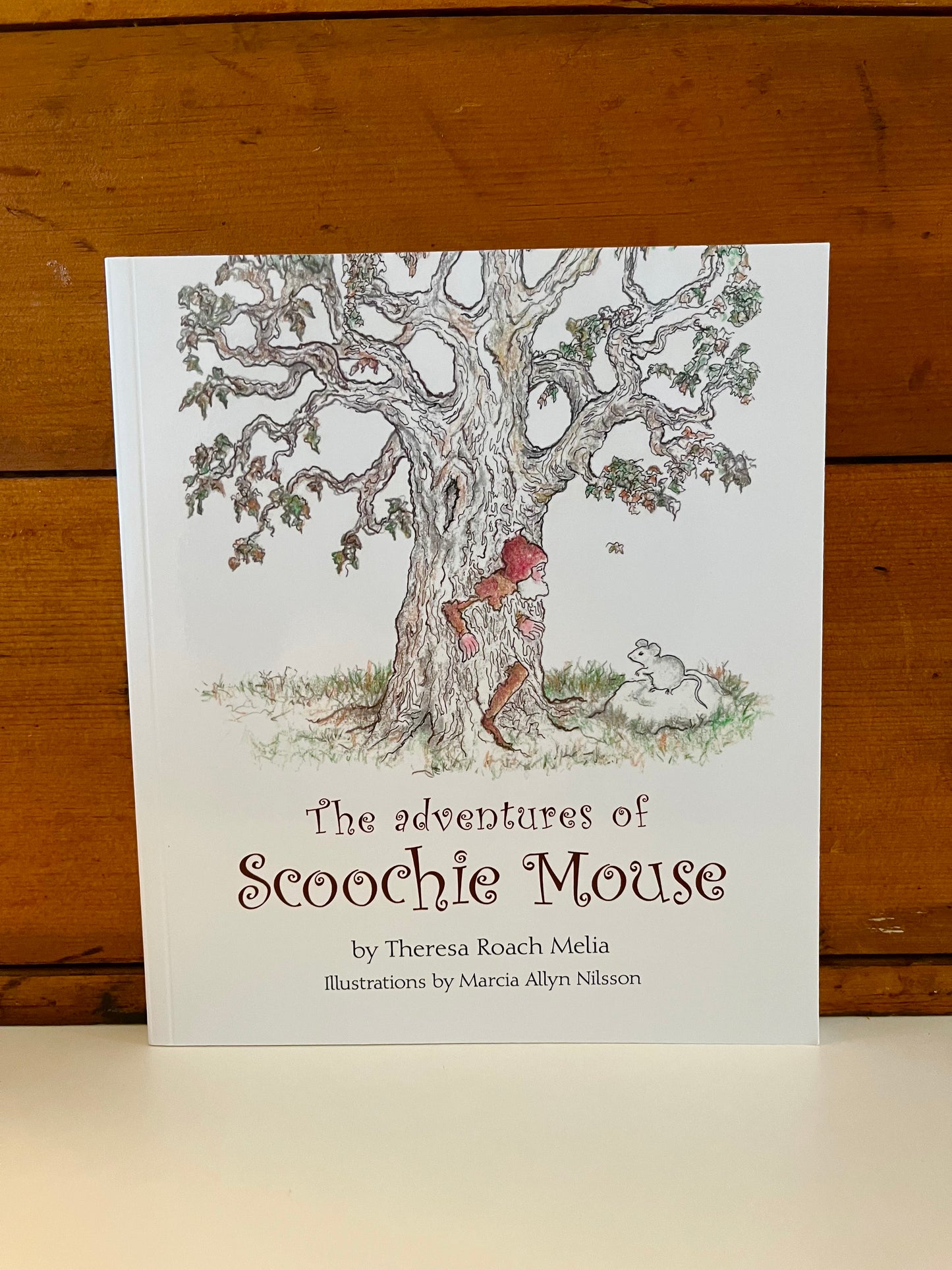 Children’s Chapter Book - THE ADVENTURES OF SCOOCHIE MOUSE