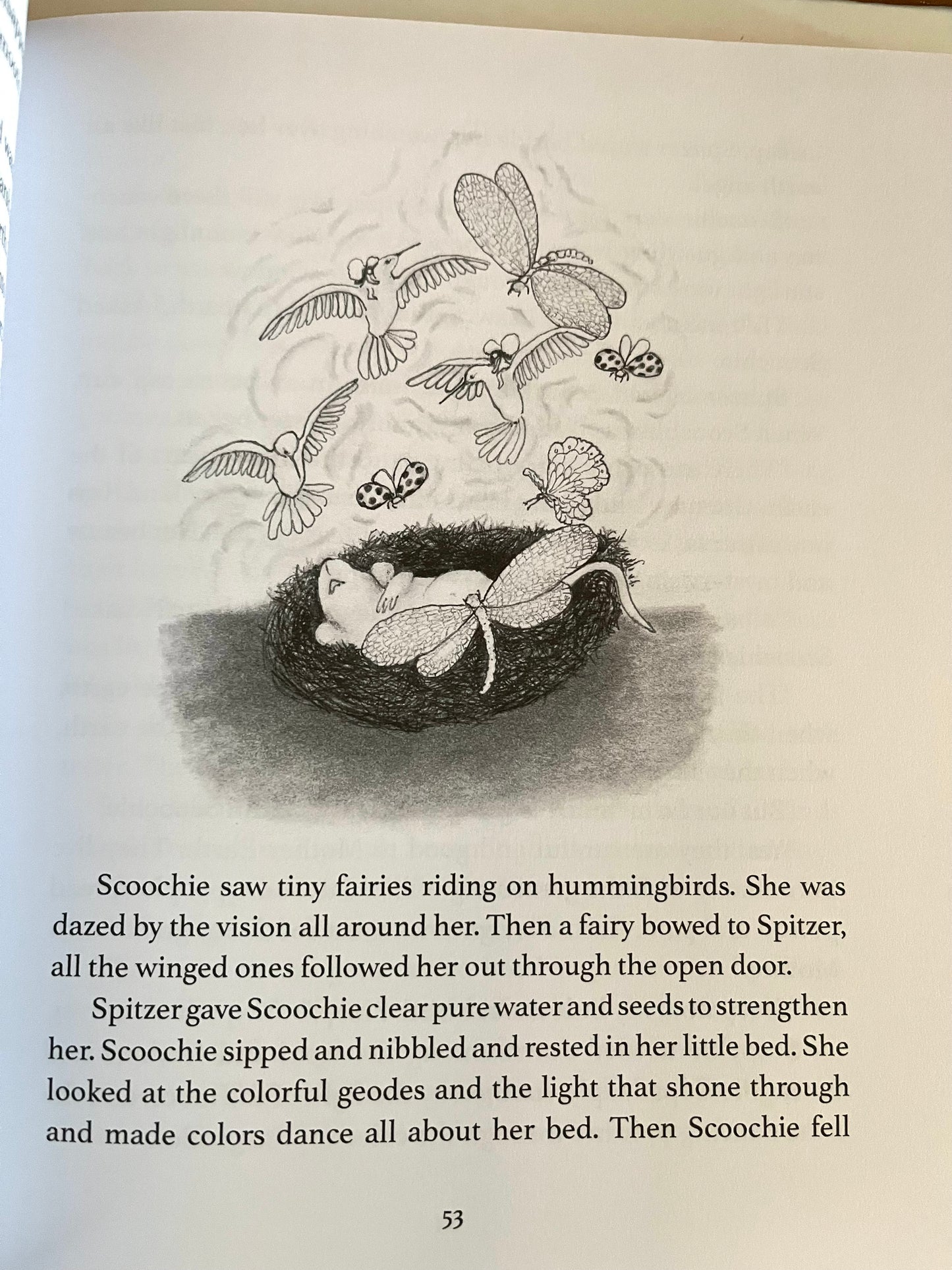 Children’s Chapter Book - THE ADVENTURES OF SCOOCHIE MOUSE