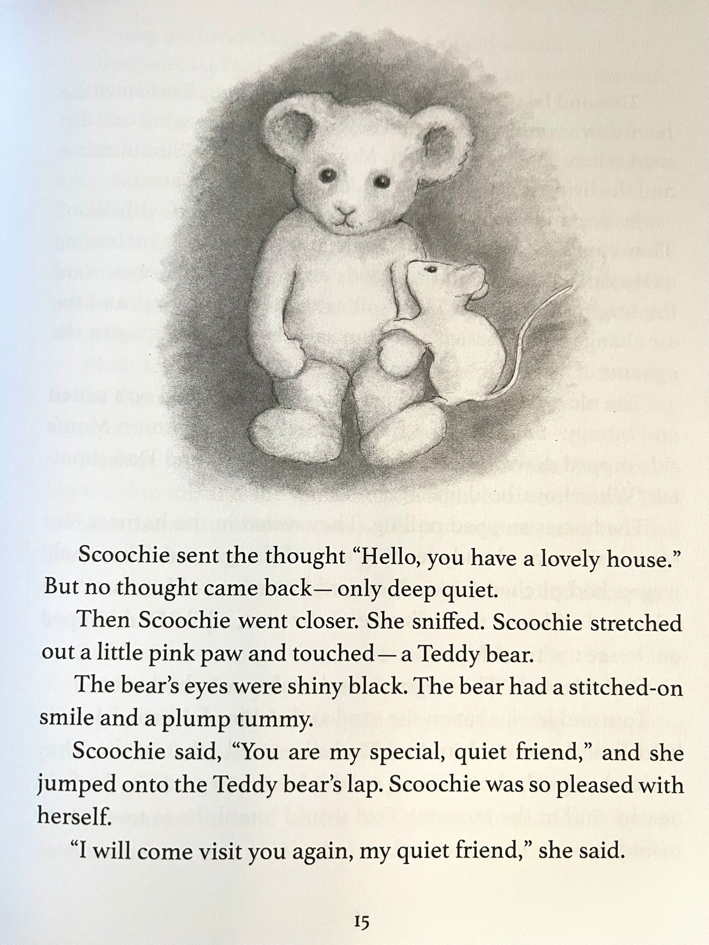 Children’s Chapter Book - THE ADVENTURES OF SCOOCHIE MOUSE