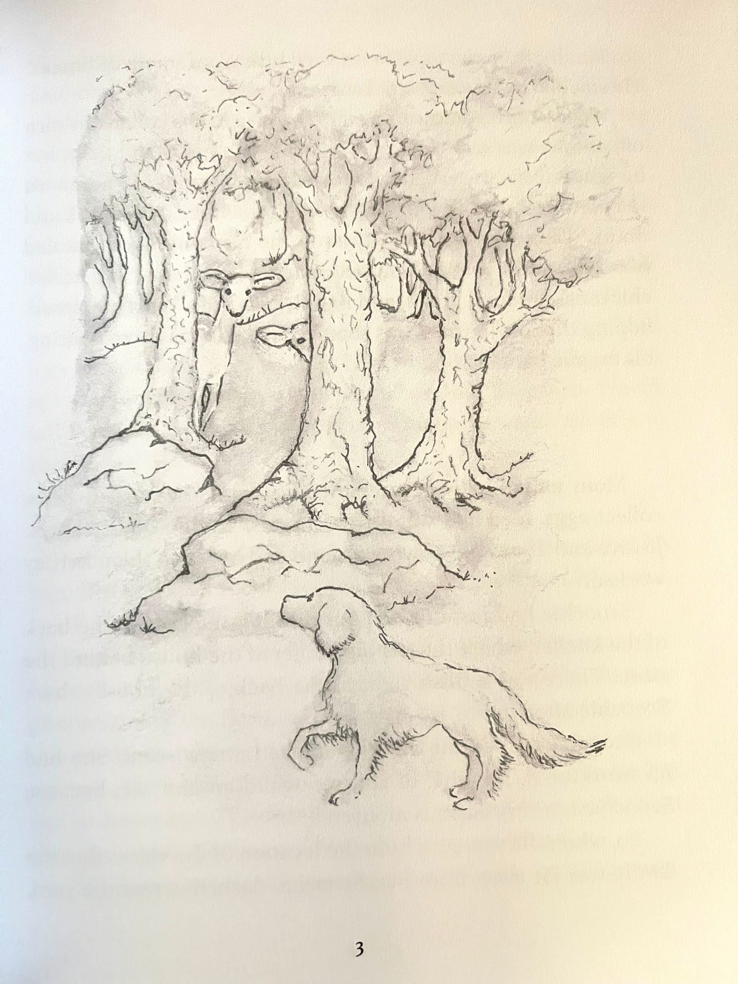 Children’s Chapter Book - THE ADVENTURES OF SCOOCHIE MOUSE