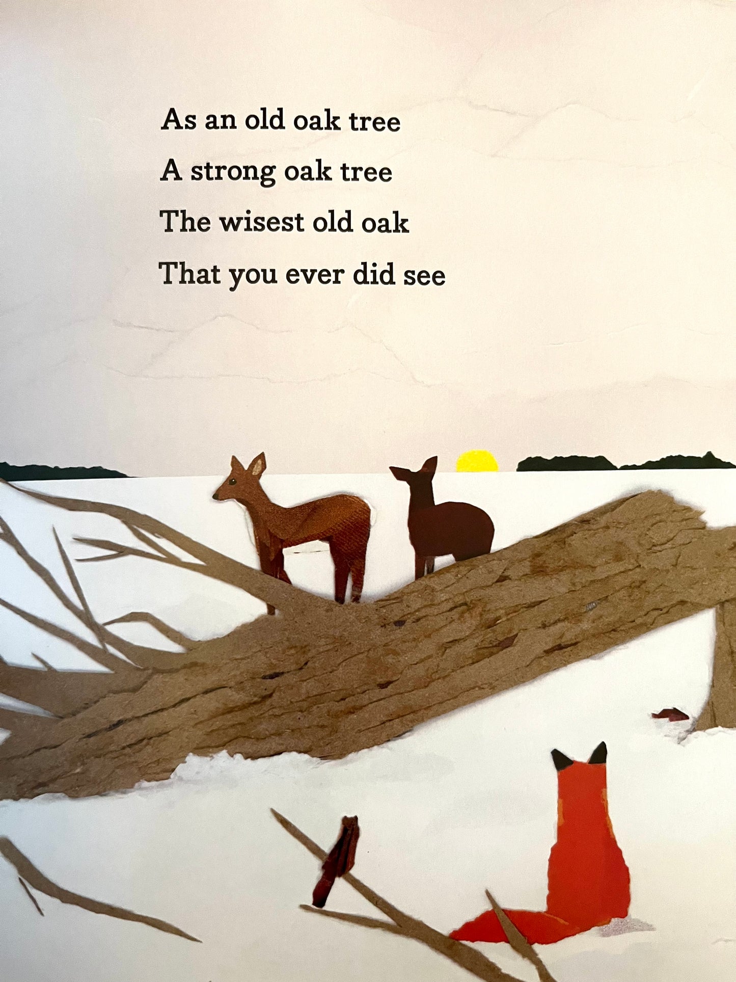 Children's Picture Book - THE OLD OAK TREE
