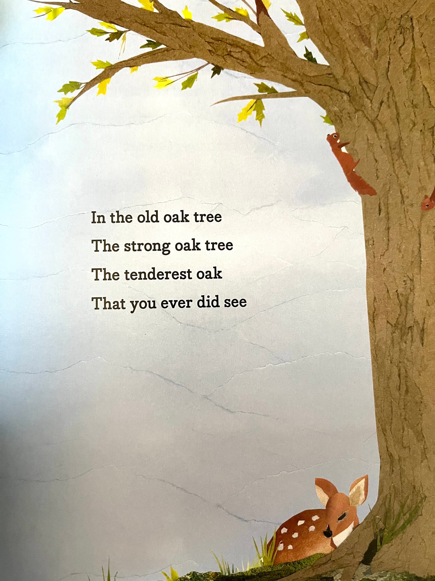 Children's Picture Book - THE OLD OAK TREE
