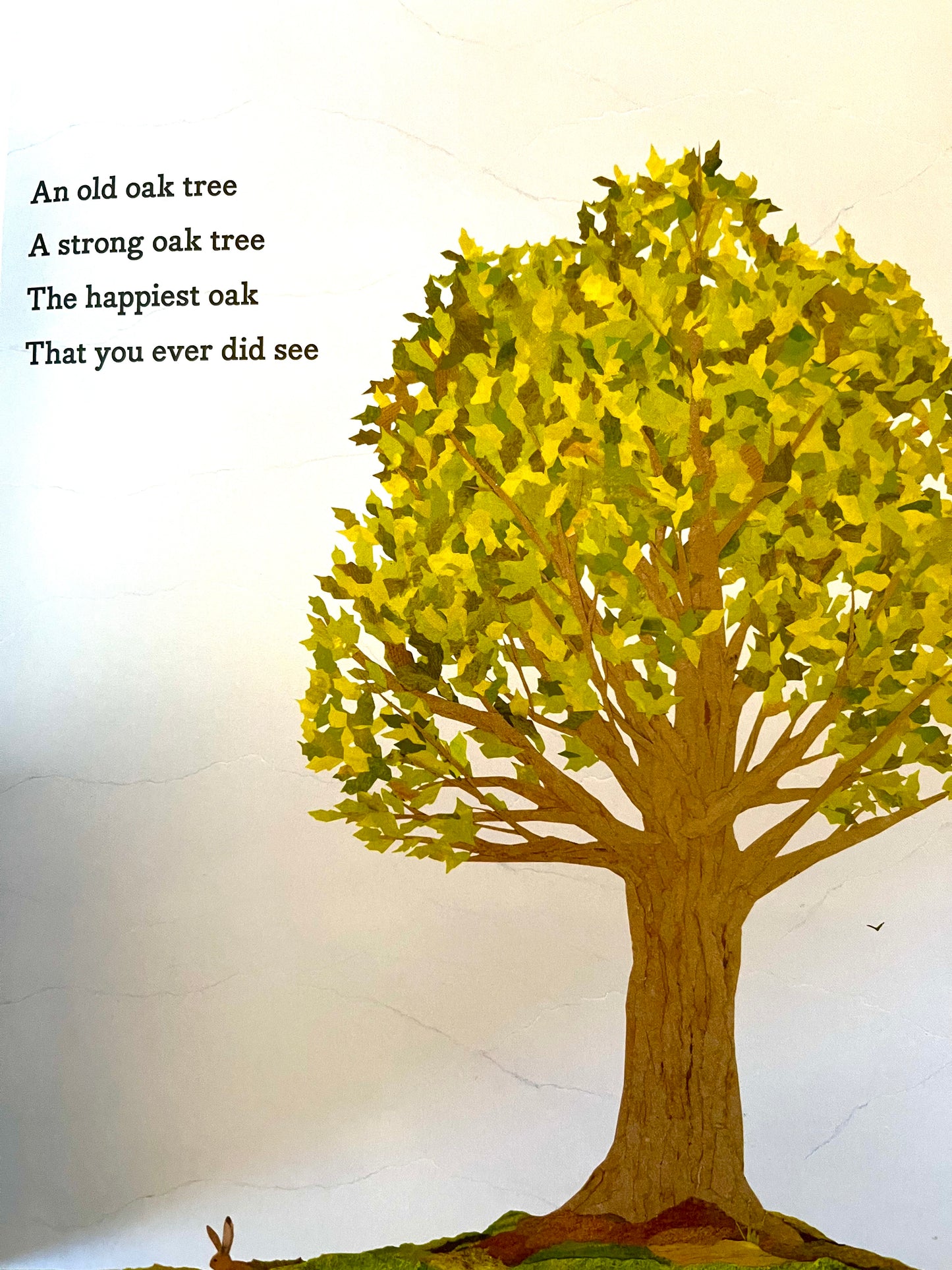 Children's Picture Book - THE OLD OAK TREE