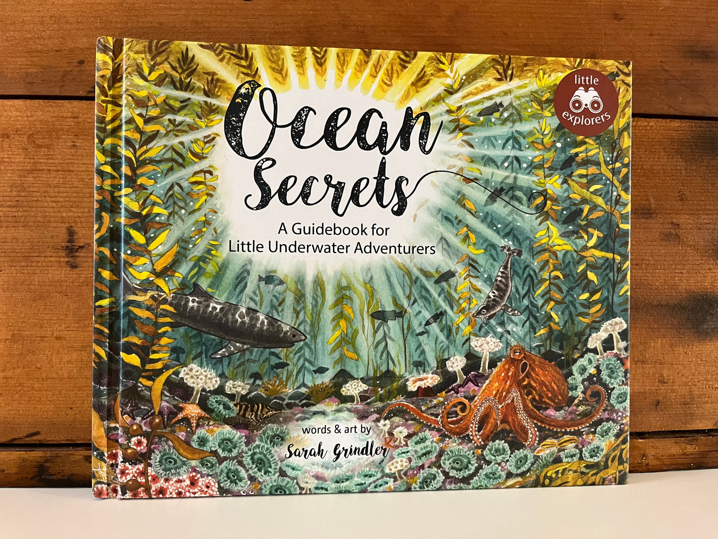 Educational Children’s Picture Book - OCEAN SECRETS, A Guidebook for Little Underwater Adventurers