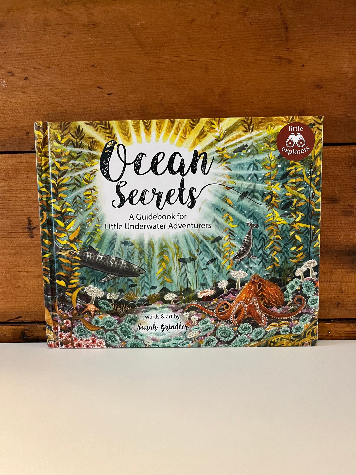 Educational Children’s Picture Book - OCEAN SECRETS, A Guidebook for Little Underwater Adventurers