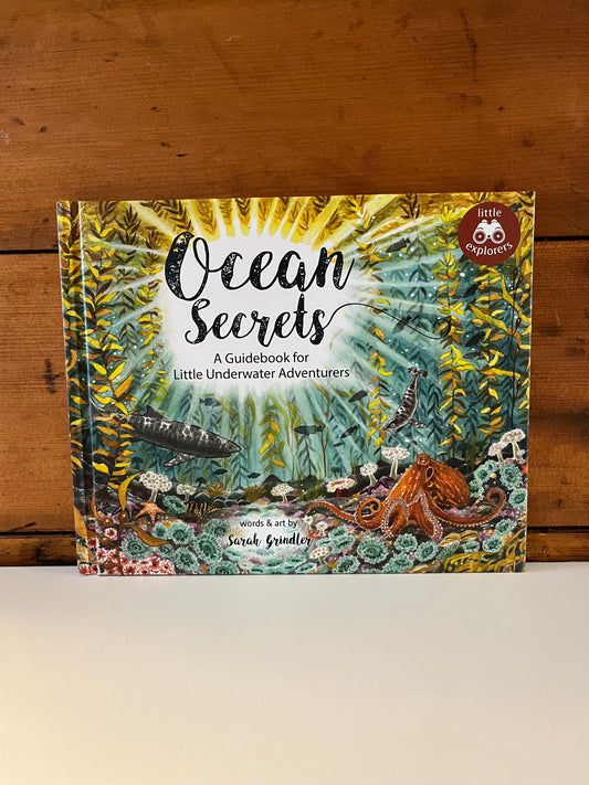 Educational Children’s Picture Book - OCEAN SECRETS, A Guidebook for Little Underwater Adventurers