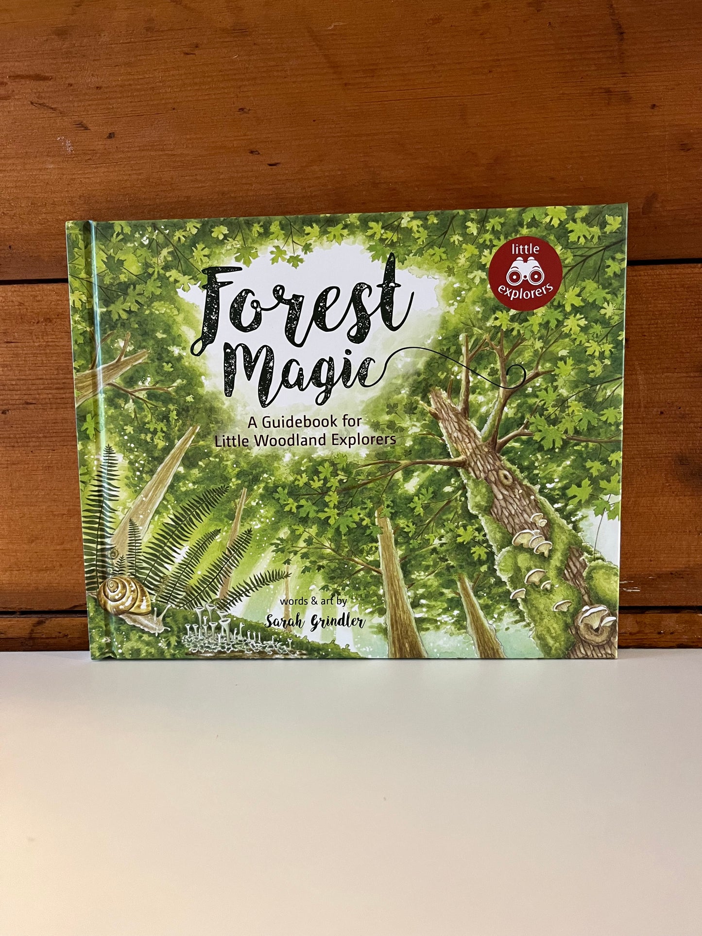 Educational Children’s Picture Book - FOREST MAGIC, A Guidebook for Little Woodland Explores