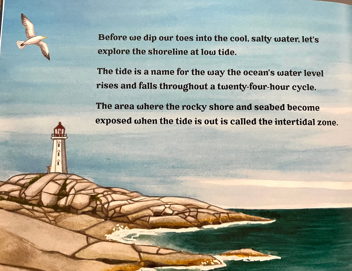 Educational Children’s Picture Book - OCEAN SECRETS, A Guidebook for Little Underwater Adventurers