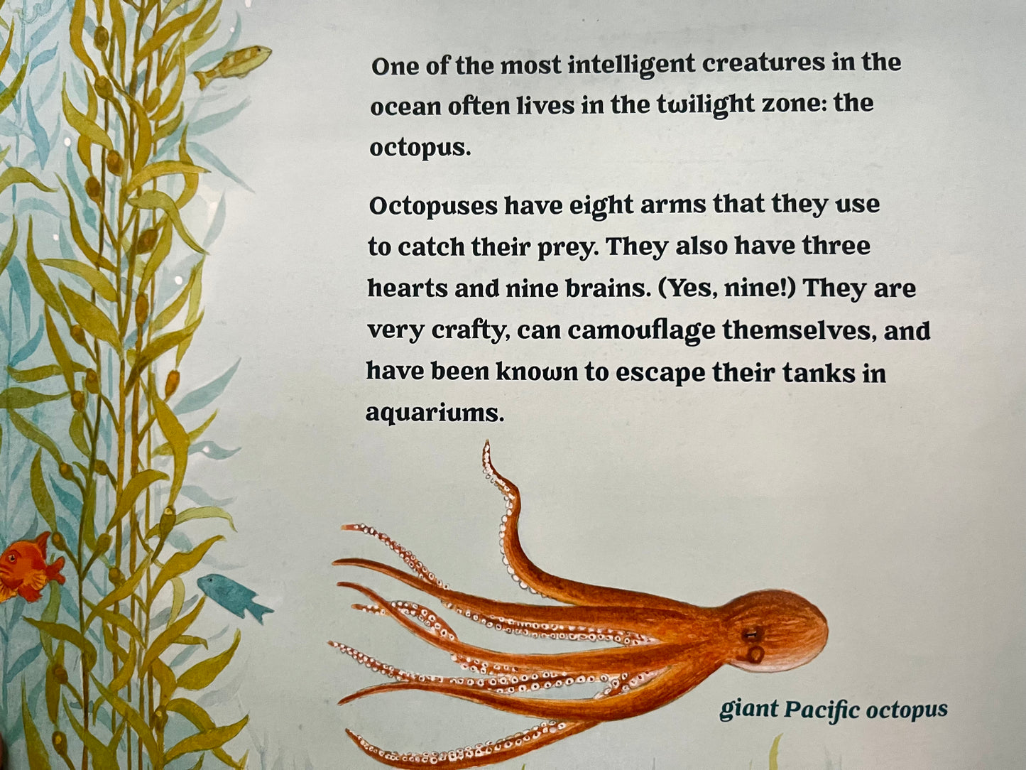 Educational Children’s Picture Book - OCEAN SECRETS, A Guidebook for Little Underwater Adventurers