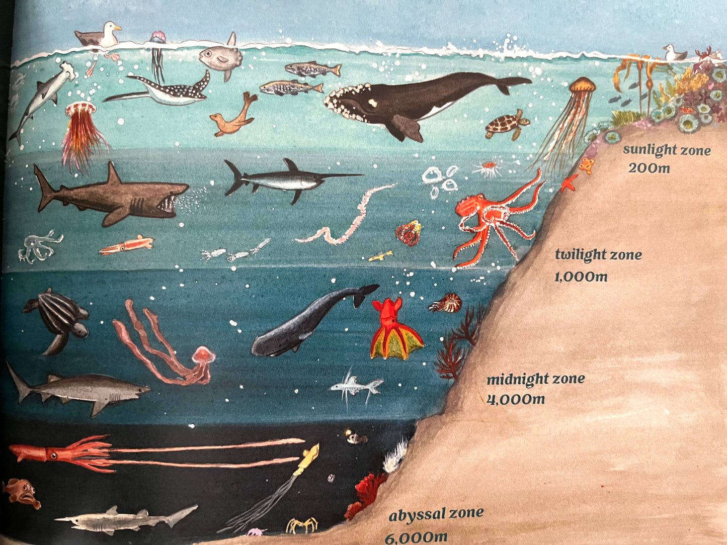 Educational Children’s Picture Book - OCEAN SECRETS, A Guidebook for Little Underwater Adventurers