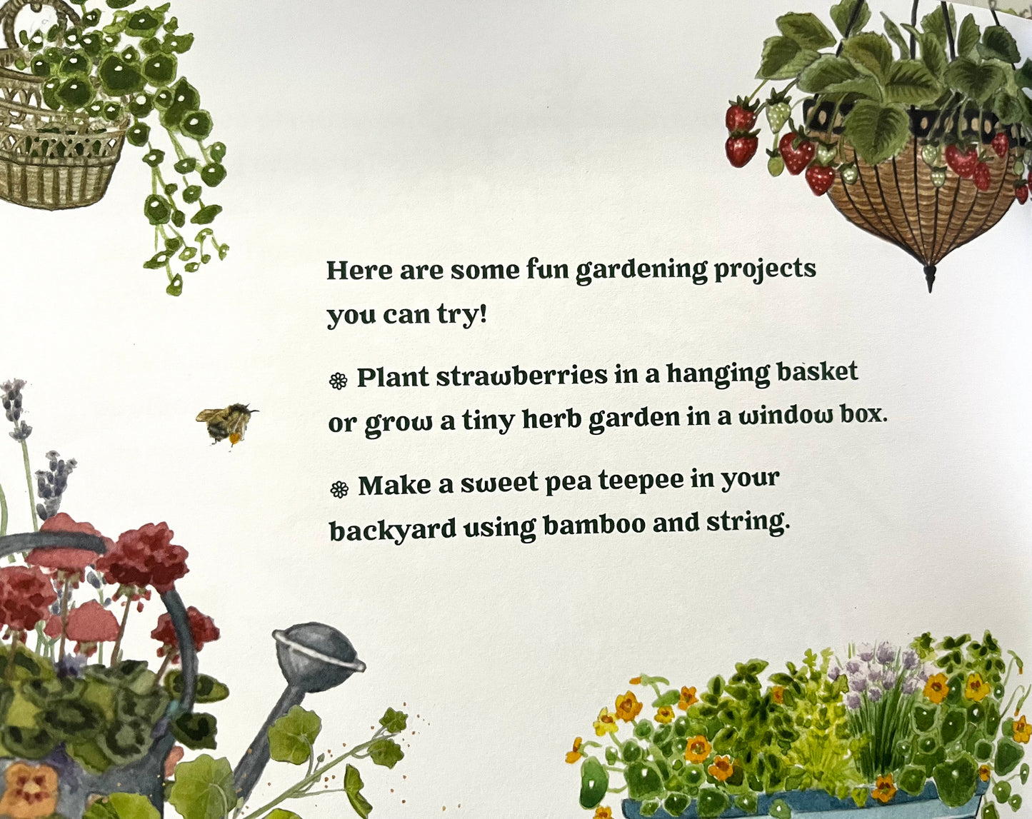 Educational Children’s Picture Book - GARDEN WONDERS, A Guidebook for Little Green Thumbs