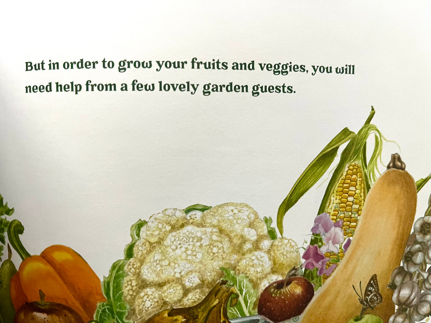 Educational Children’s Picture Book - GARDEN WONDERS, A Guidebook for Little Green Thumbs