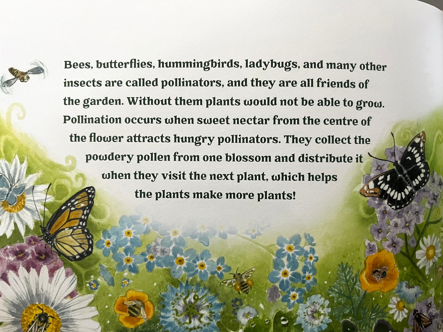 Educational Children’s Picture Book - GARDEN WONDERS, A Guidebook for Little Green Thumbs
