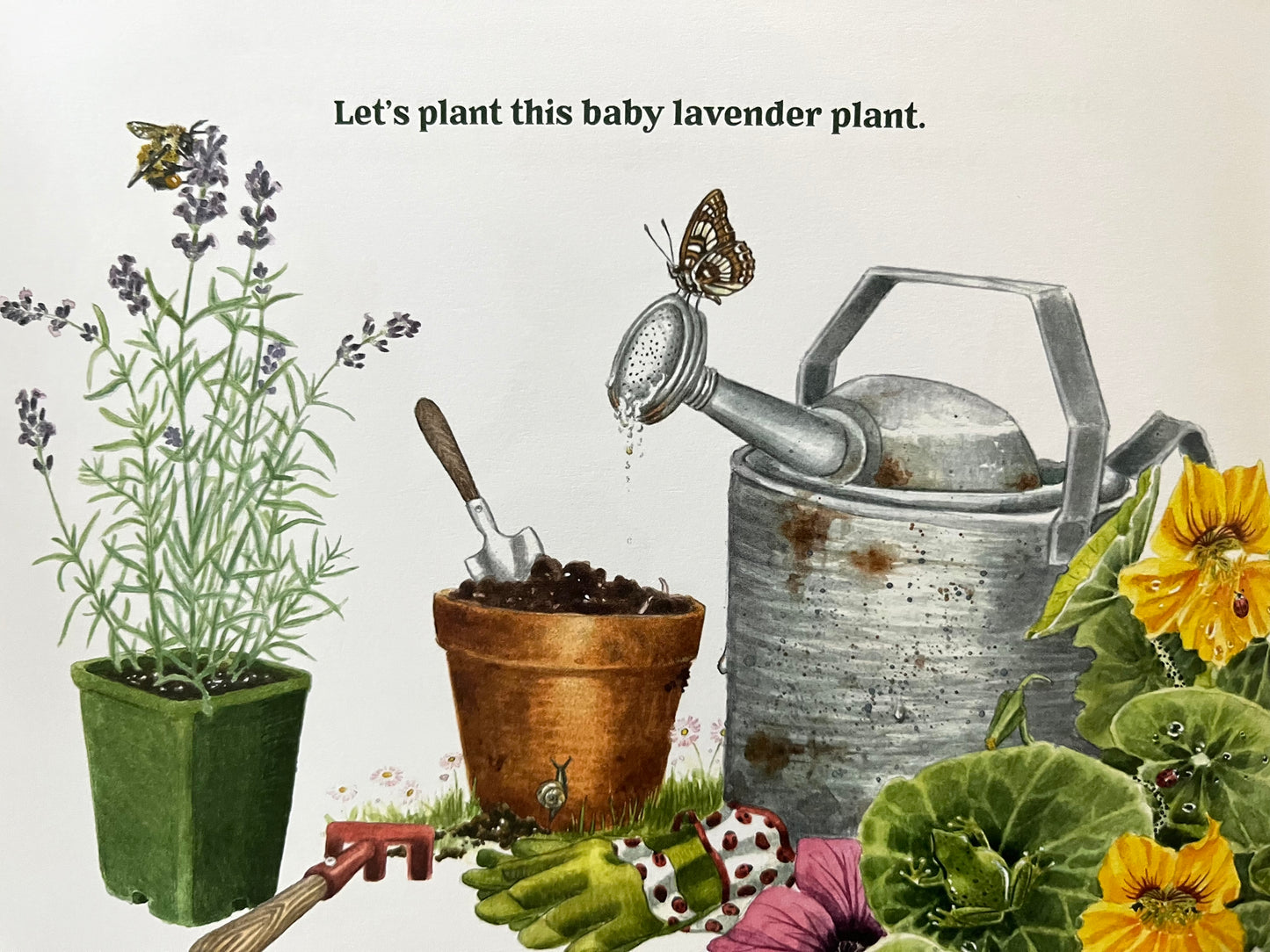 Educational Children’s Picture Book - GARDEN WONDERS, A Guidebook for Little Green Thumbs