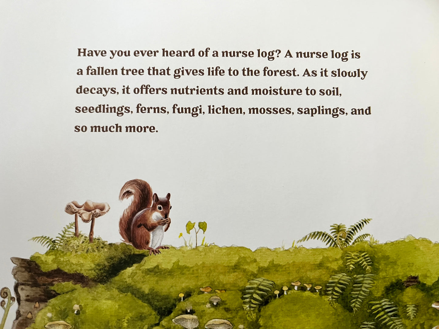 Educational Children’s Picture Book - FOREST MAGIC, A Guidebook for Little Woodland Explores