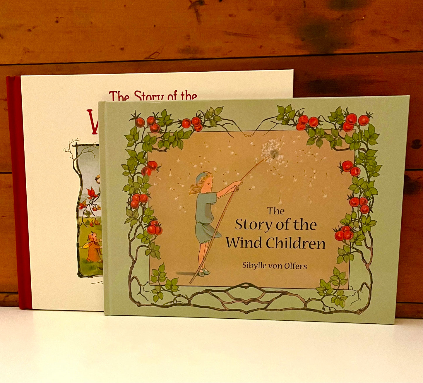 Livre d'images pour enfants - L'HISTOIRE DES ENFANTS DU VENT