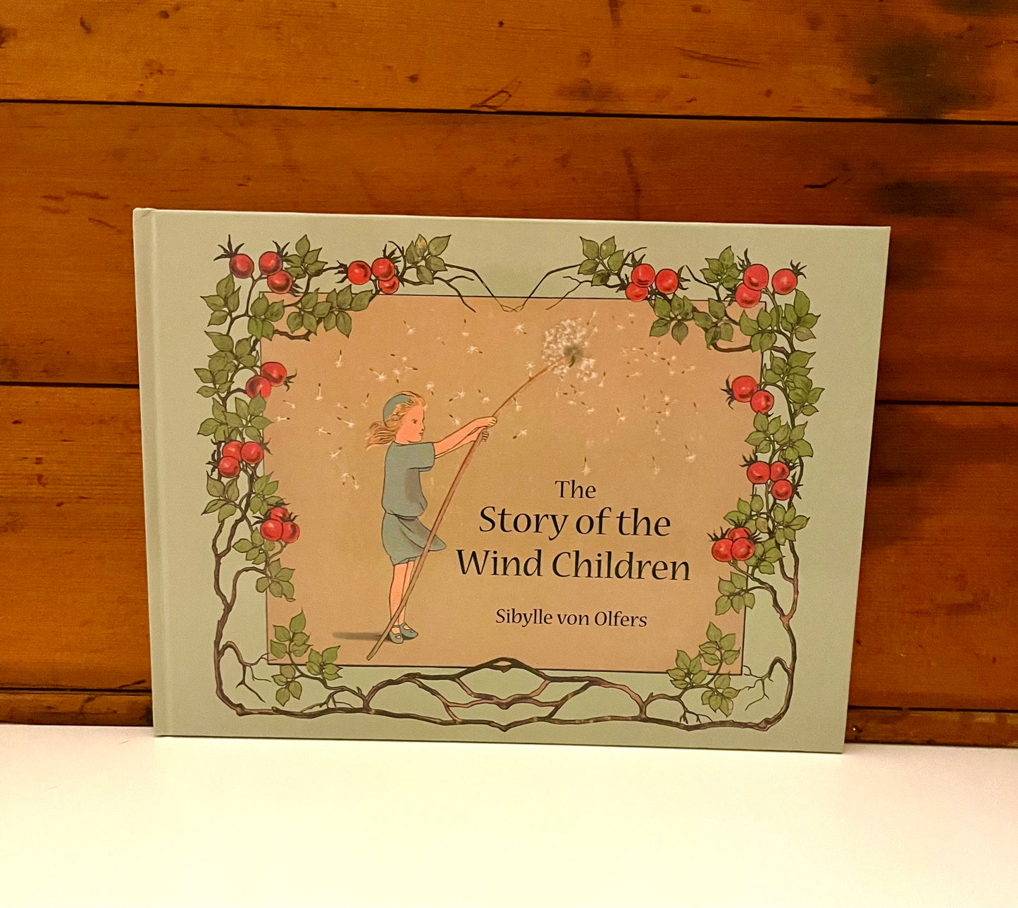 Livre d'images pour enfants - L'HISTOIRE DES ENFANTS DU VENT