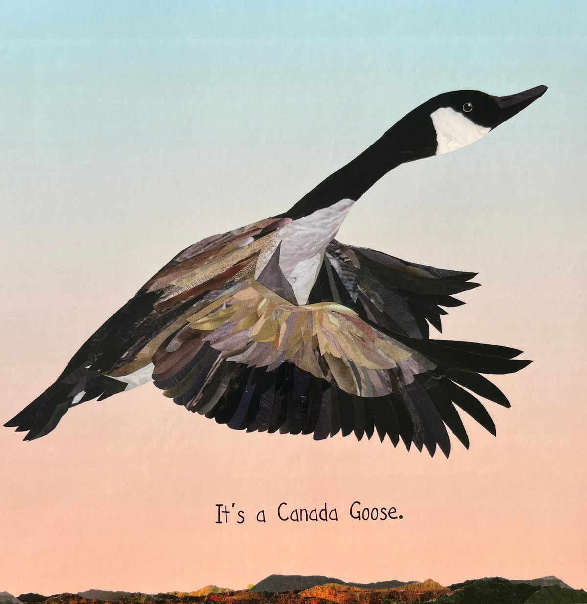 Board Book, Baby - MY FIRST BOOK OF CANADIAN BIRDS