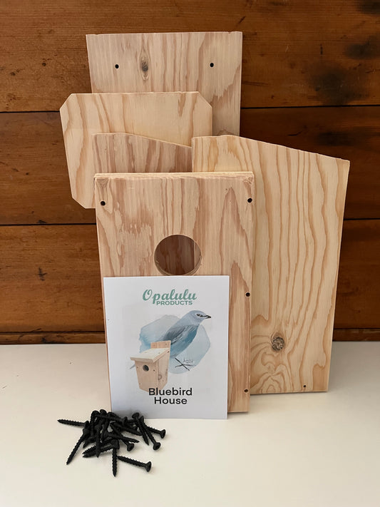 Crafting Kit - Wooden BLUEBIRD 💙 HOUSE, everything you need!