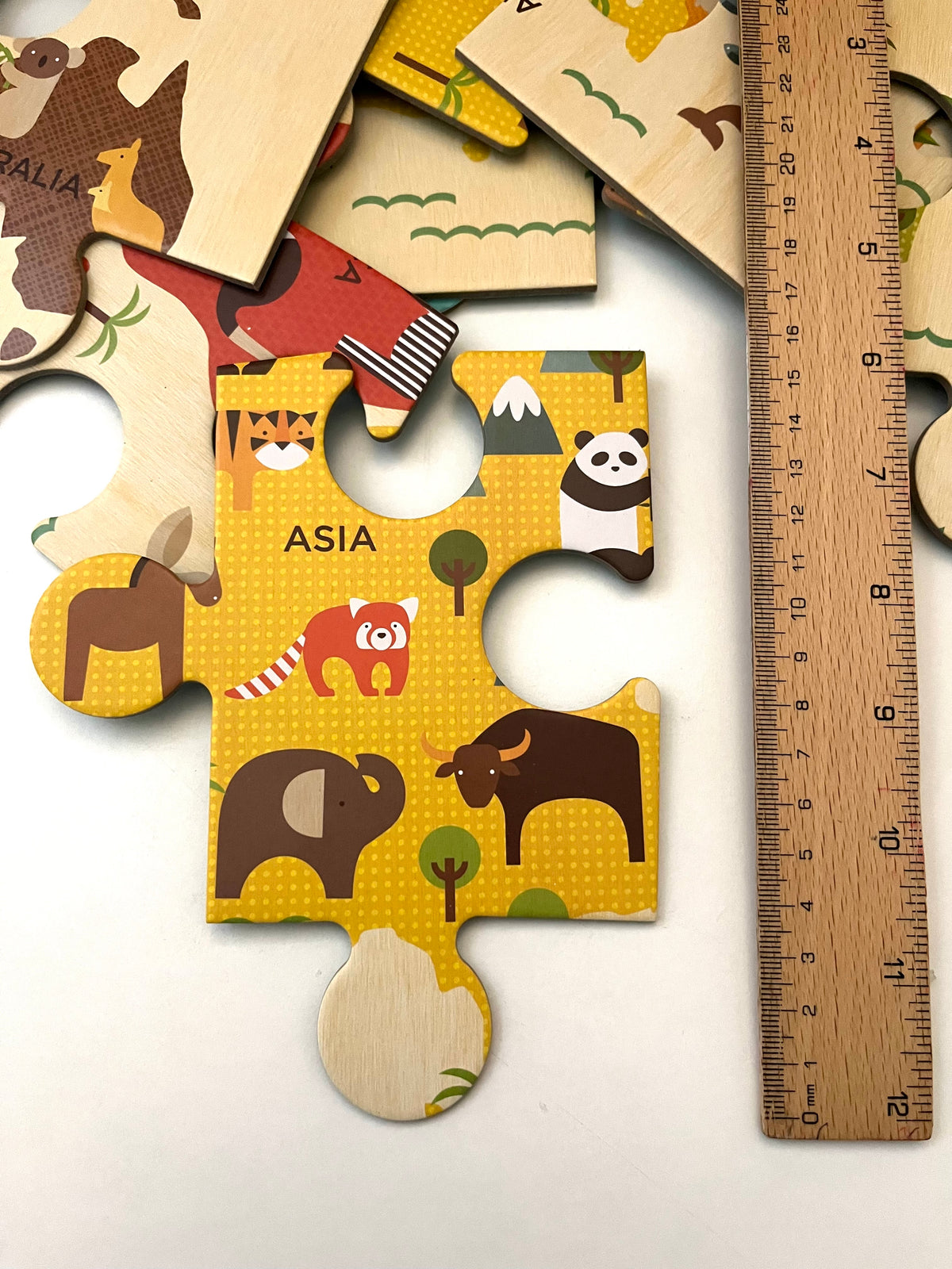Educational Puzzle - OUR WORLD FLOOR Puzzle, age 3 years