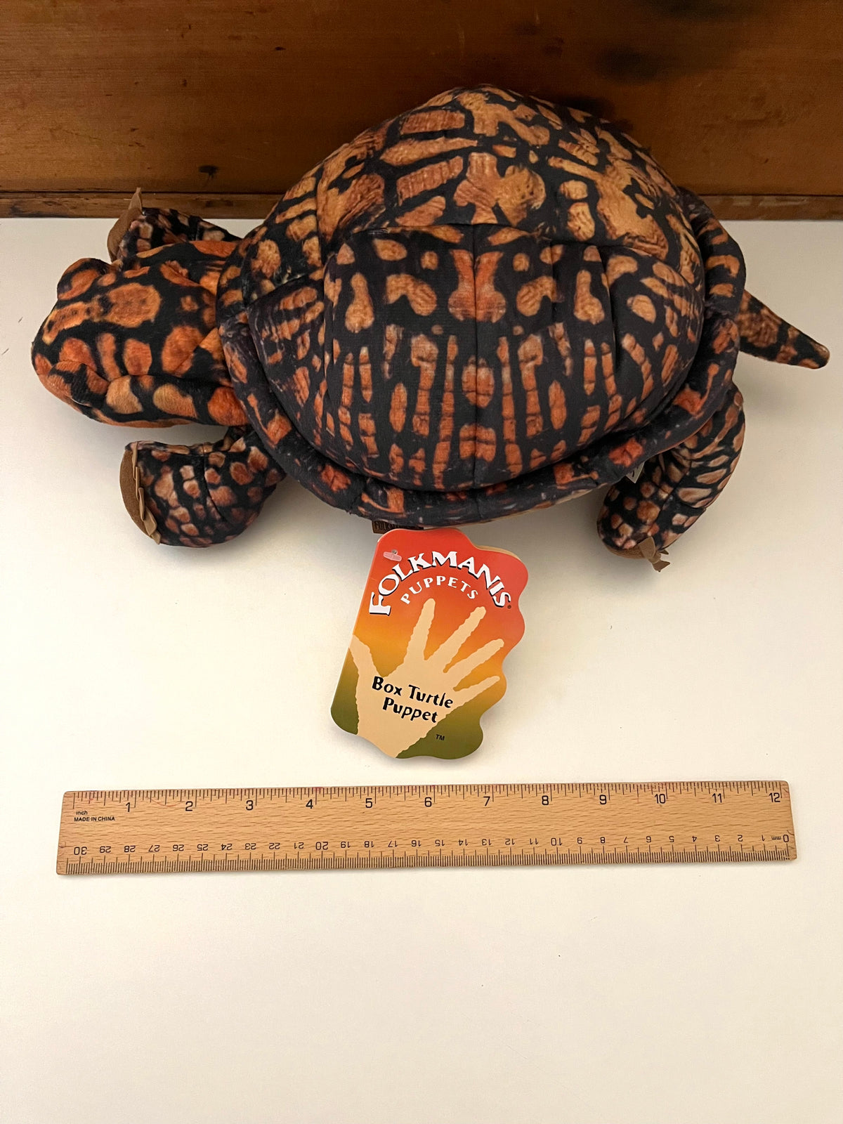 Soft Puppet Toy - North American BOX TURTLE