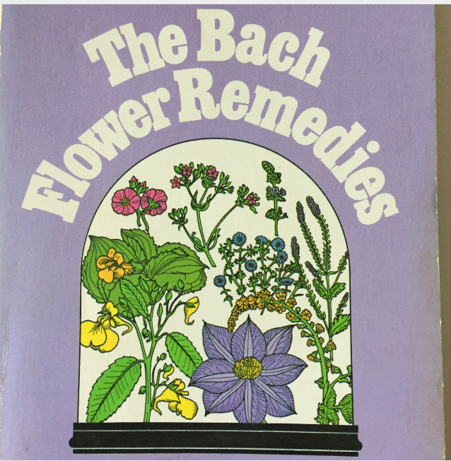 Bach Holistic Flower Remedies - SWEET CHESTNUT