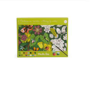 Art Activity Set - PAINT BY NUMBERS, BOTANICAL Scenes, 3 Paintings